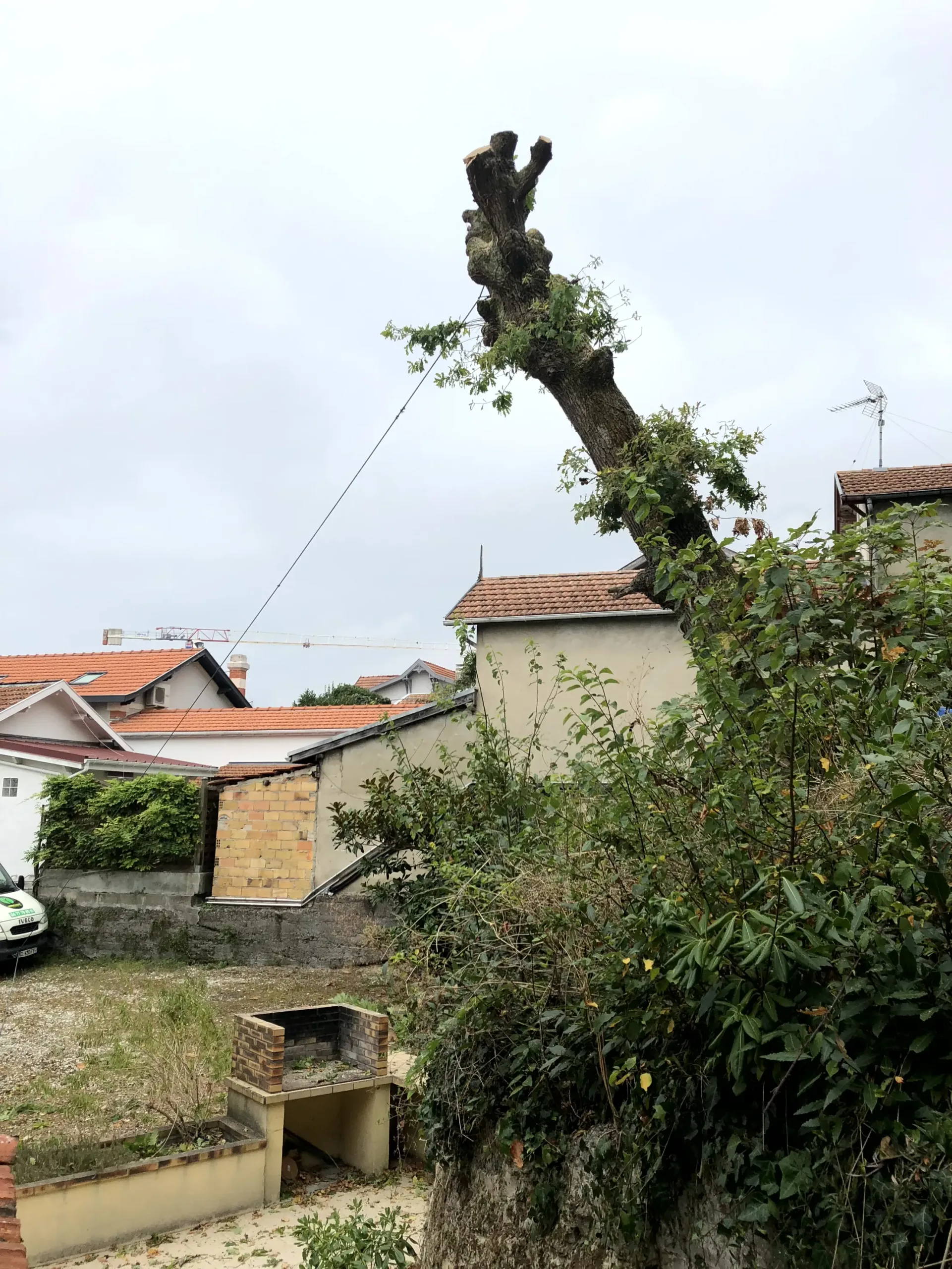 Bienvenue sur le site de Gironde élagage, entretien de jardins, élagage, abattage, taille de haies, évacuation des déchets verts en Gironde, Gradignan, Cestas..